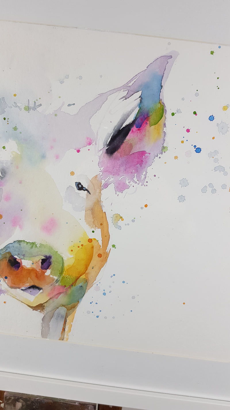 Pig Watercolour Painting - 'Colourful Percy' 17" x 12"