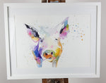 Pig Watercolour Painting - 'Colourful Percy' 17" x 12"