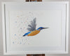 Kingfisher Watercolour Painting - 'River' 17" x 12"