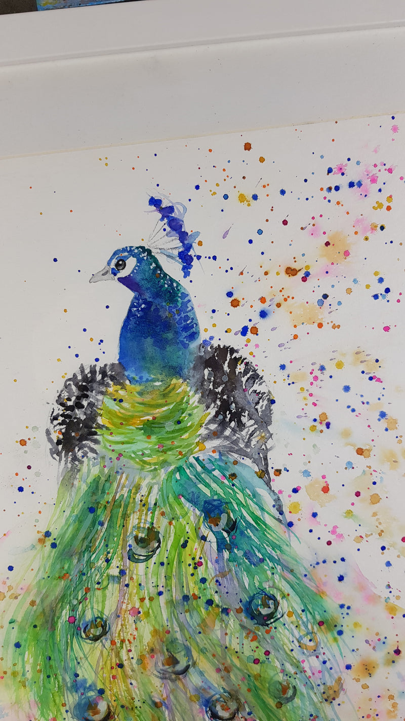 Peacock Watercolour Painting - 'Esquire' 17" x 12"
