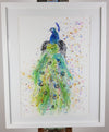 Peacock Watercolour Painting - 'Esquire' 17" x 12"