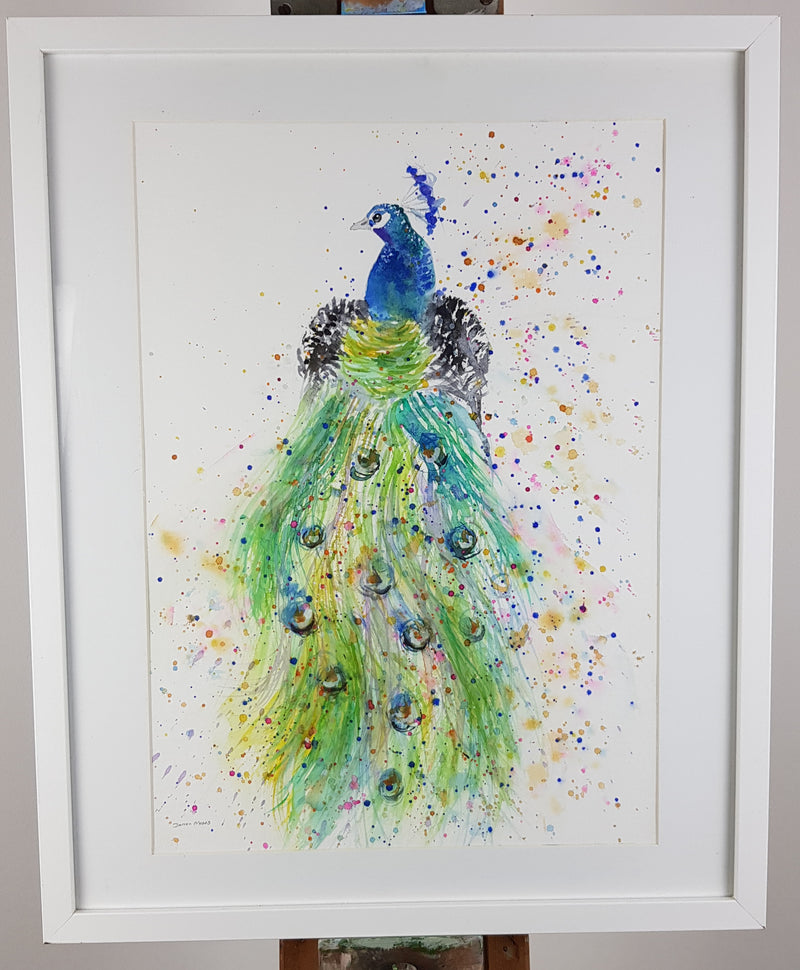 Peacock Watercolour Painting - 'Esquire' 17" x 12"