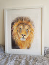 Original Watercolour - Lion 'Romeo' 16.5" x 12" #2750 - SkinnyDaz Art, Design & Illustration