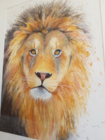 Original Watercolour - Lion 'Romeo' 16.5" x 12" #2750 - SkinnyDaz Art, Design & Illustration