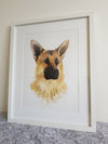 Commissioned Watercolour Pet Portraits