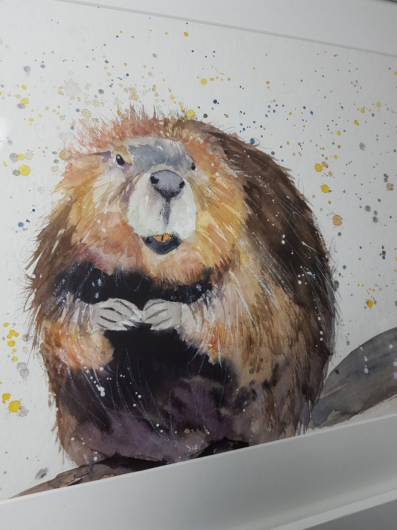 Original Beaver Watercolour - 'Humphrey' 16.5" x 12" #3006 - SkinnyDaz Art, Design & Illustration