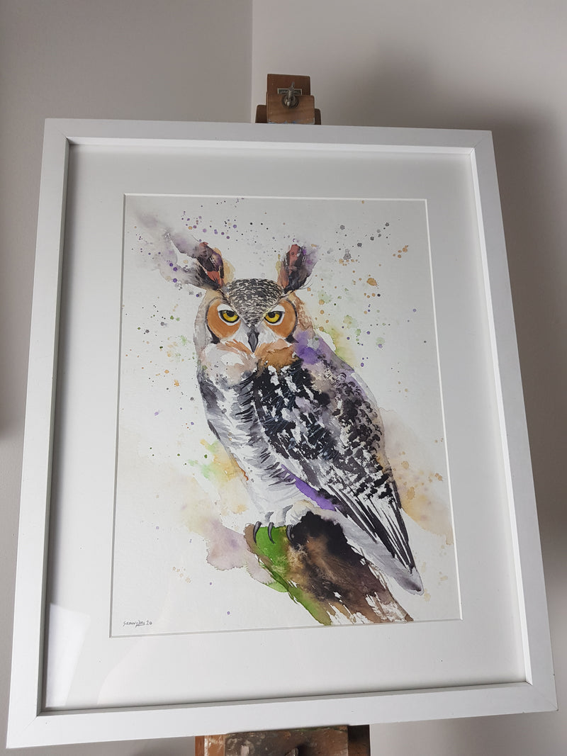 Owl Watercolour 'Oakley' - 16.5" x 12" #3041 - SkinnyDaz Art, Design & Illustration