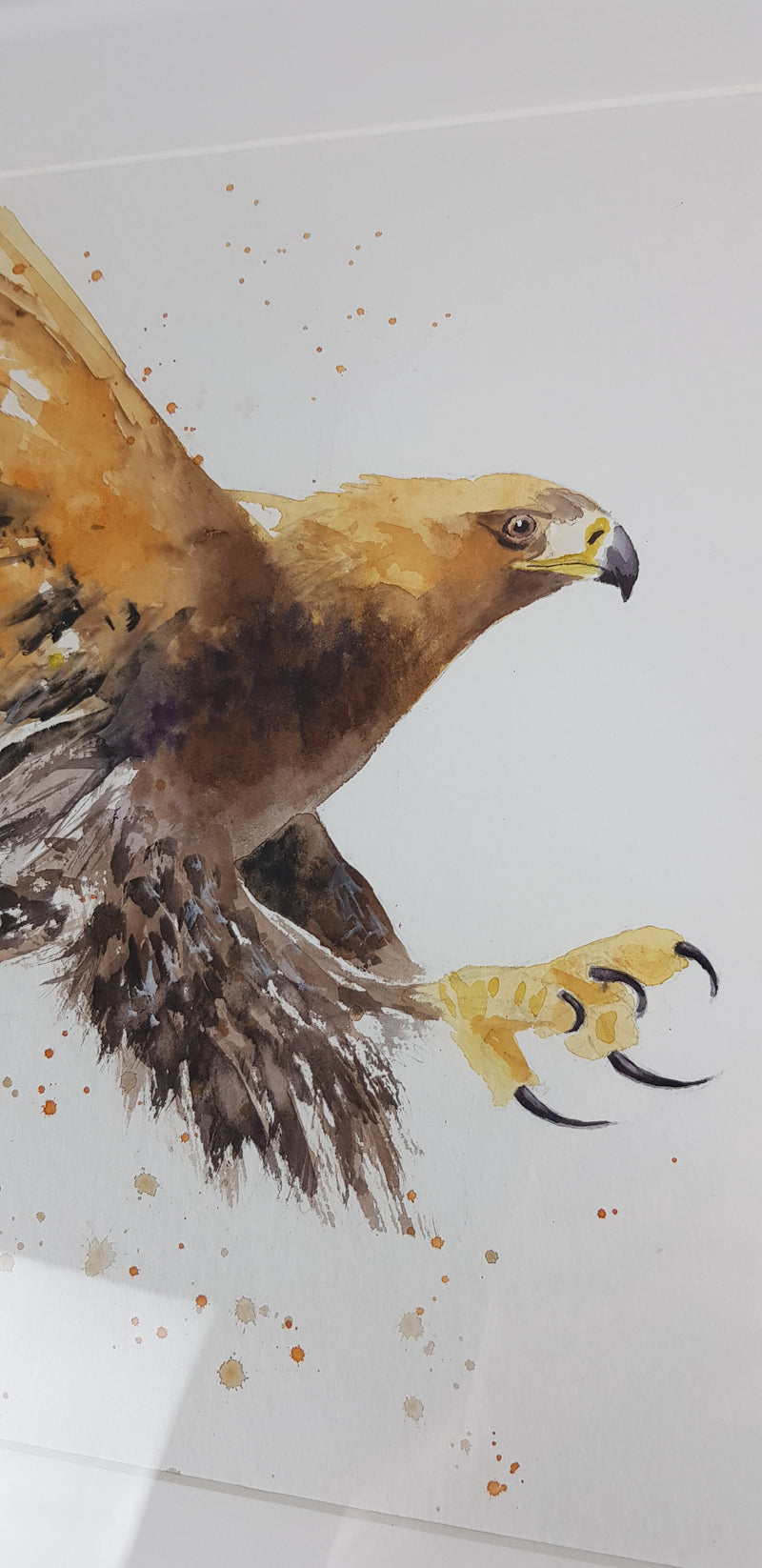 Golden Eagle Watercolour 'Rocky' - 16.5" x 12" #3080