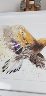 Golden Eagle Watercolour 'Rocky' - 16.5" x 12" #3080
