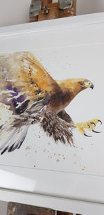 Golden Eagle Watercolour 'Rocky' - 16.5" x 12" #3080