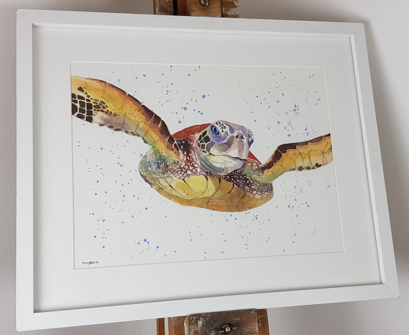 Turtle Watercolour 'Tony' - 16.5" x 12" #3096