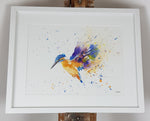 Kingfisher Watercolour - 'Kenny' 16.5" x 12" #3118