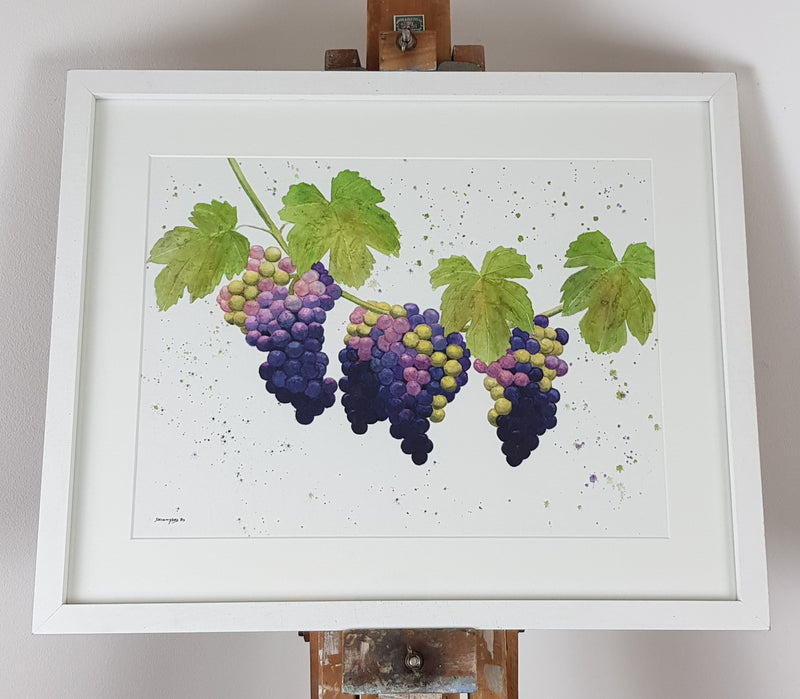 Grapes Watercolour  'Ripe & Ready' - 17" x 12" #3180