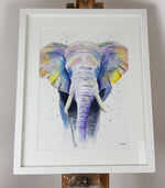 Elephant Watercolour 'Eric'   - 17" x 12" #3186