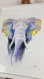 Elephant Watercolour 'Eric'   - 17" x 12" #3186