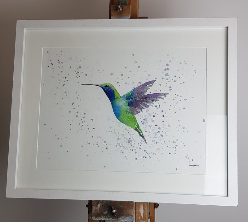 Hummingbird Watercolour - 'Kiri' 17" x 12" #3225