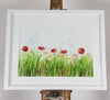 Poppies Watercolour - 'Blushing blooms' 17" x 12" #3237