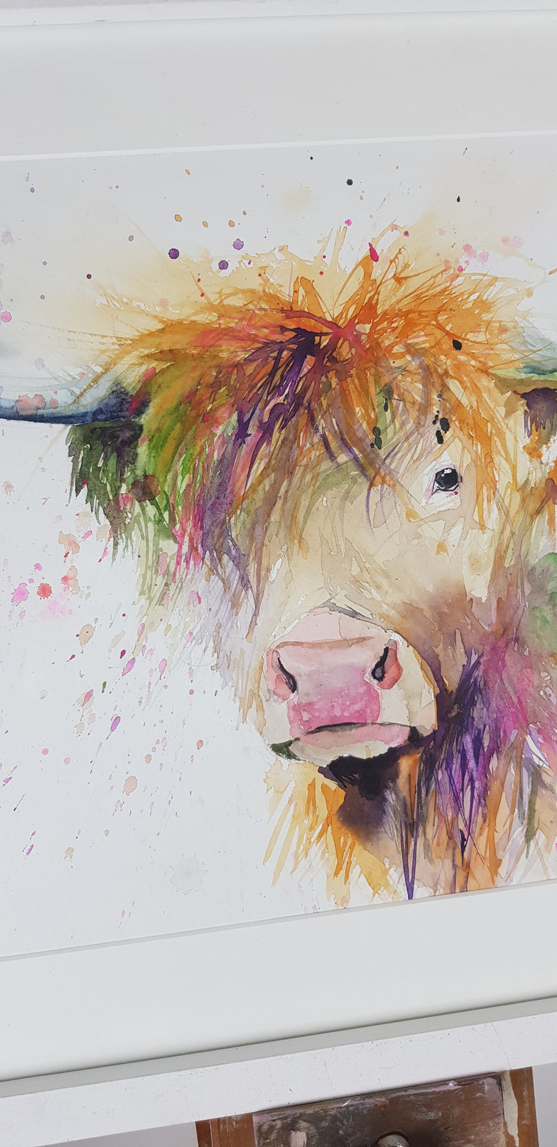 Highland Cow Watercolour - 'Joseph' 17" x 12" #3238