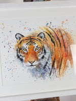 Tiger Watercolour - 'Terrence' 17" x 12" #3264