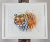 Tiger Watercolour - 'Terrence' 17" x 12" #3264