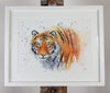 Tiger Watercolour - 'Terrence' 17" x 12" #3264