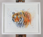Tiger Watercolour - 'Terrence' 17" x 12" #3264