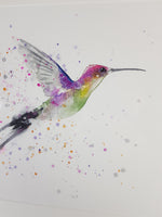 Hummingbird Watercolour - 'Zippy' 17" x 12"