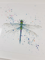Dragonfly Watercolour - 'A welcome visitor' 17" x 12" #3281