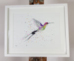 Hummingbird Watercolour - 'Zippy' 17" x 12"