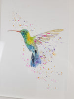 Hummingbird Watercolour - 'Sprinkles' 17" x 12" #3290