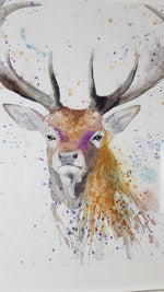 Stag Watercolour - 'Darwin' 16.5" x 12" #3330