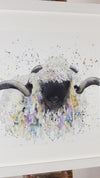 Valais Black Nose Sheep Watercolour - 'Valerie' 17" x 12" #3352
