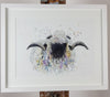 Valais Black Nose Sheep Watercolour - 'Valerie' 17" x 12" #3352
