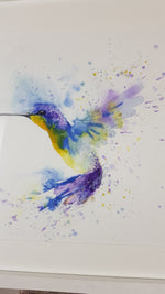 Hummingbird Watercolour - 'Bluey' 17" x 12" #3363