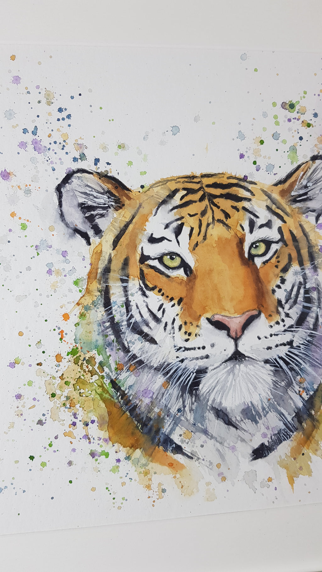 Tiger Watercolour - 'Hendrix' 17" x 12" #3362