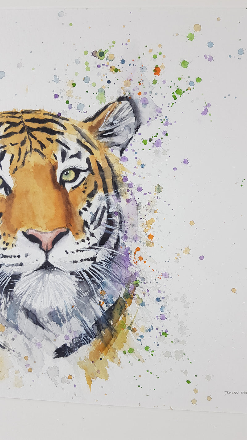 Tiger Watercolour - 'Hendrix' 17" x 12" #3362