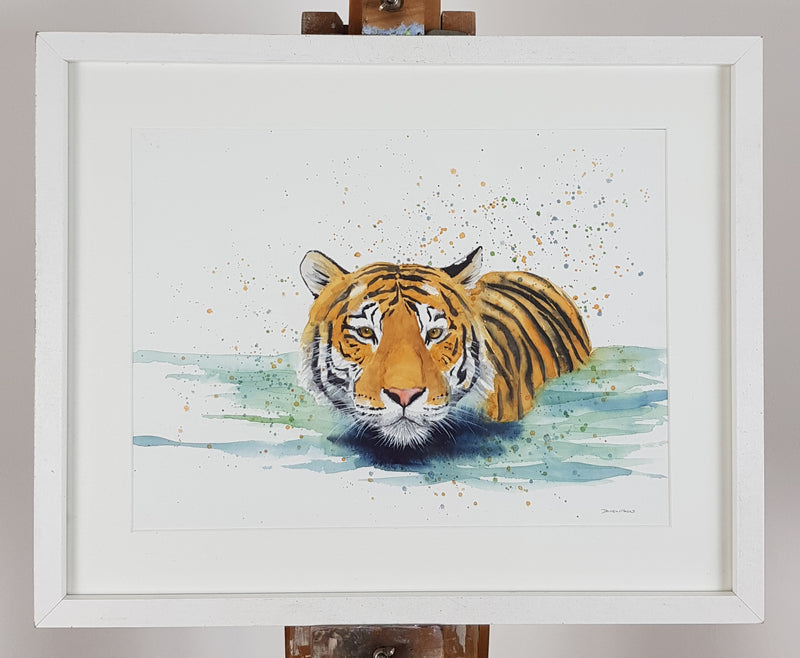 Tiger Watercolour Painting - 'A good old soak' 17" x 12"