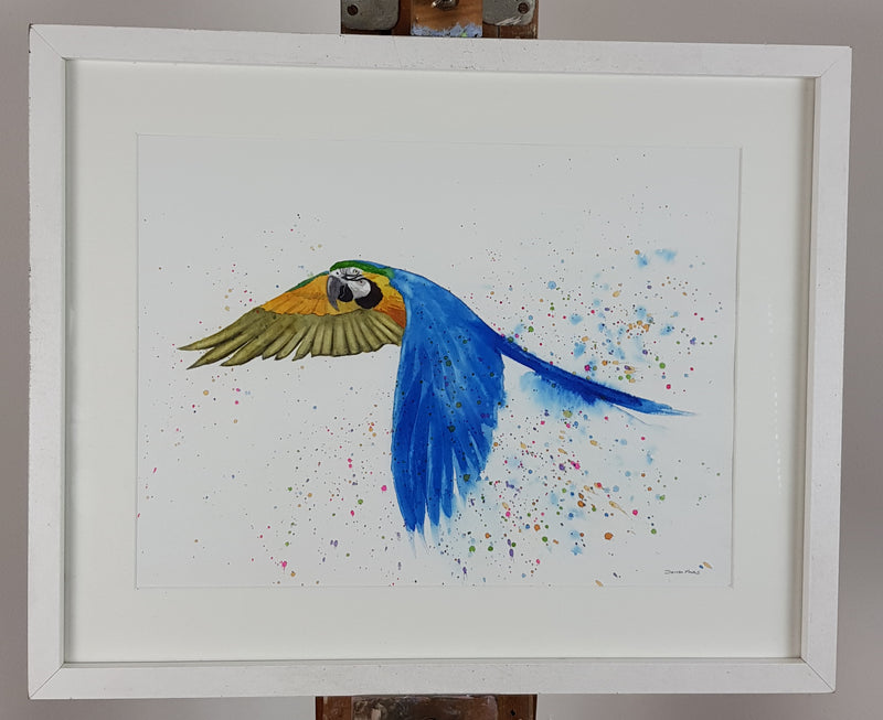 Macaw Watercolour Painting - 'Pedro' 17" x 12"