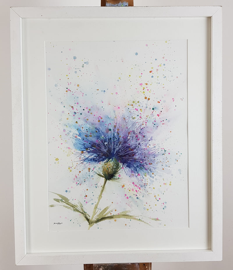 Thistle Watercolour Painting - 'Blue Fancy' 17" x 12"