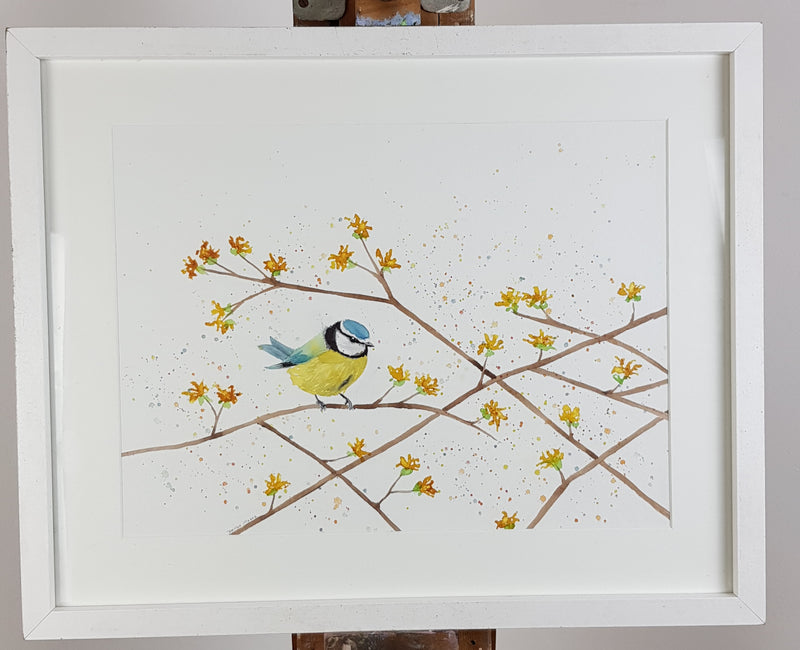 Bluetit Watercolour Painting - 'On the Spring branches' 17" x 12"