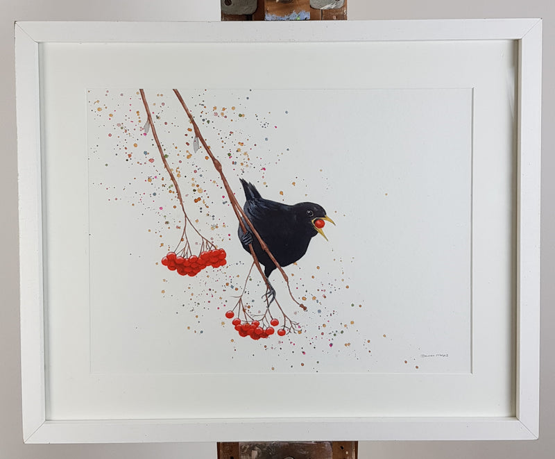 Blackbird Watercolour Painting - 'Benjamin' 17" x 12"