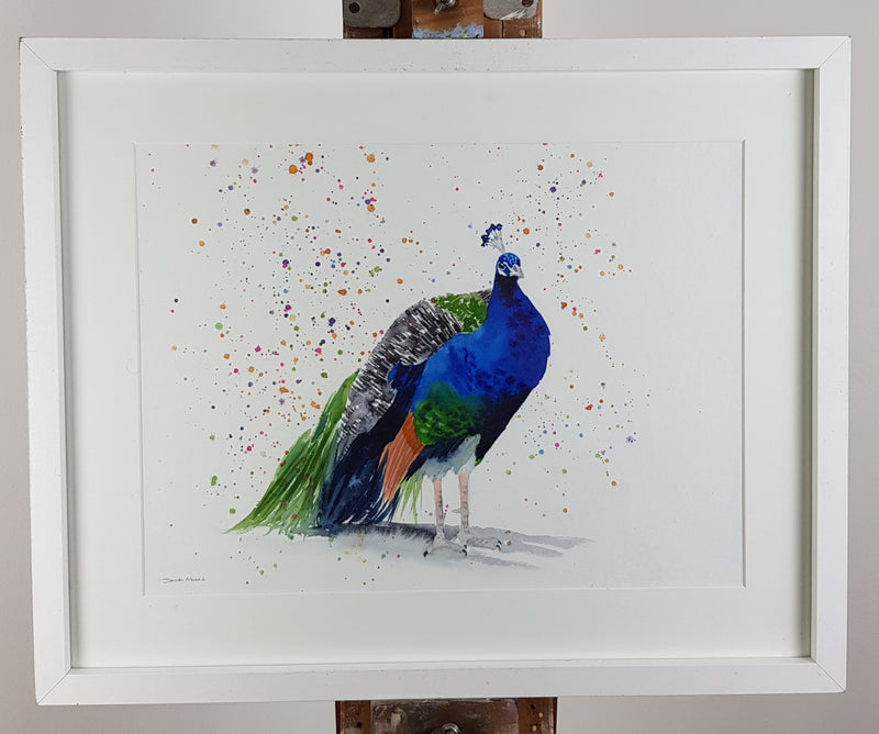 Peacock Watercolour Painting - 'Reginald' 17" x 12"