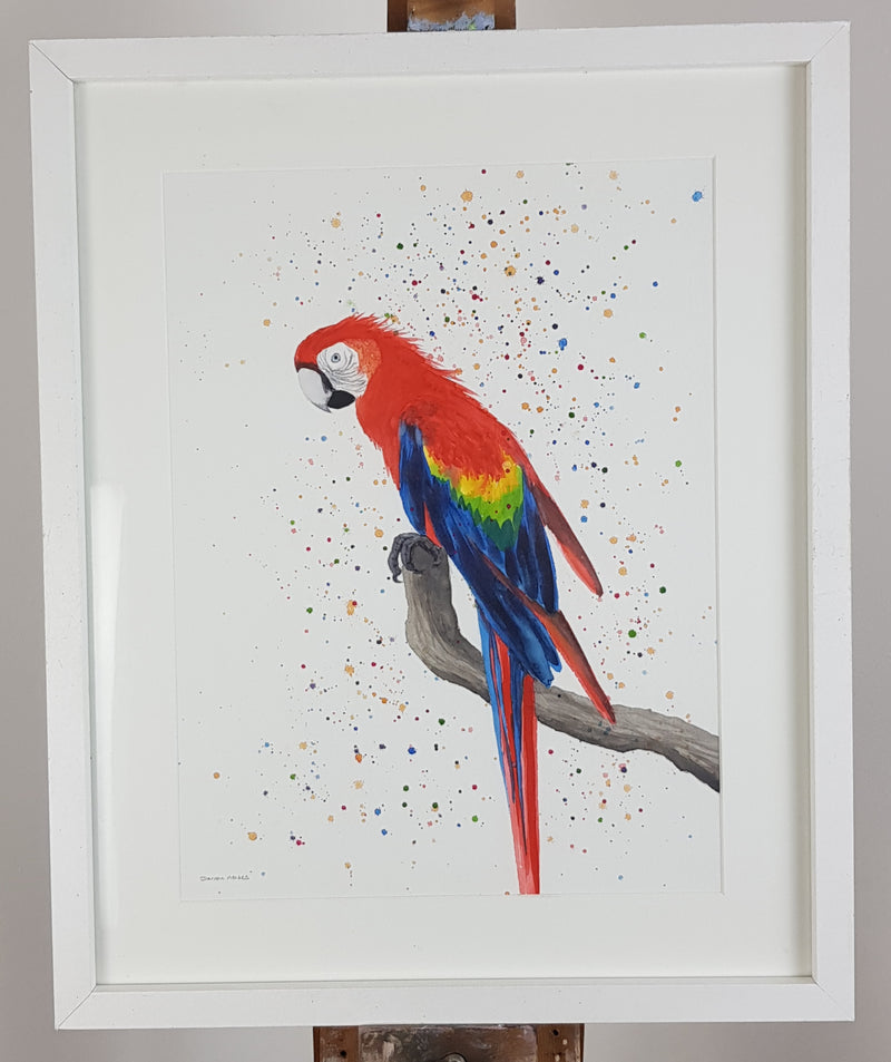 Macaw Watercolour Painting - 'Rainbow 17" x 12"