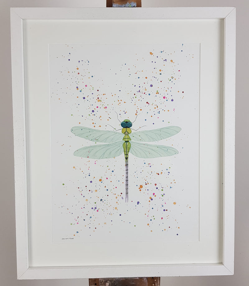 Dragonfly Watercolour Painting - 'Pip' 17" x 12"