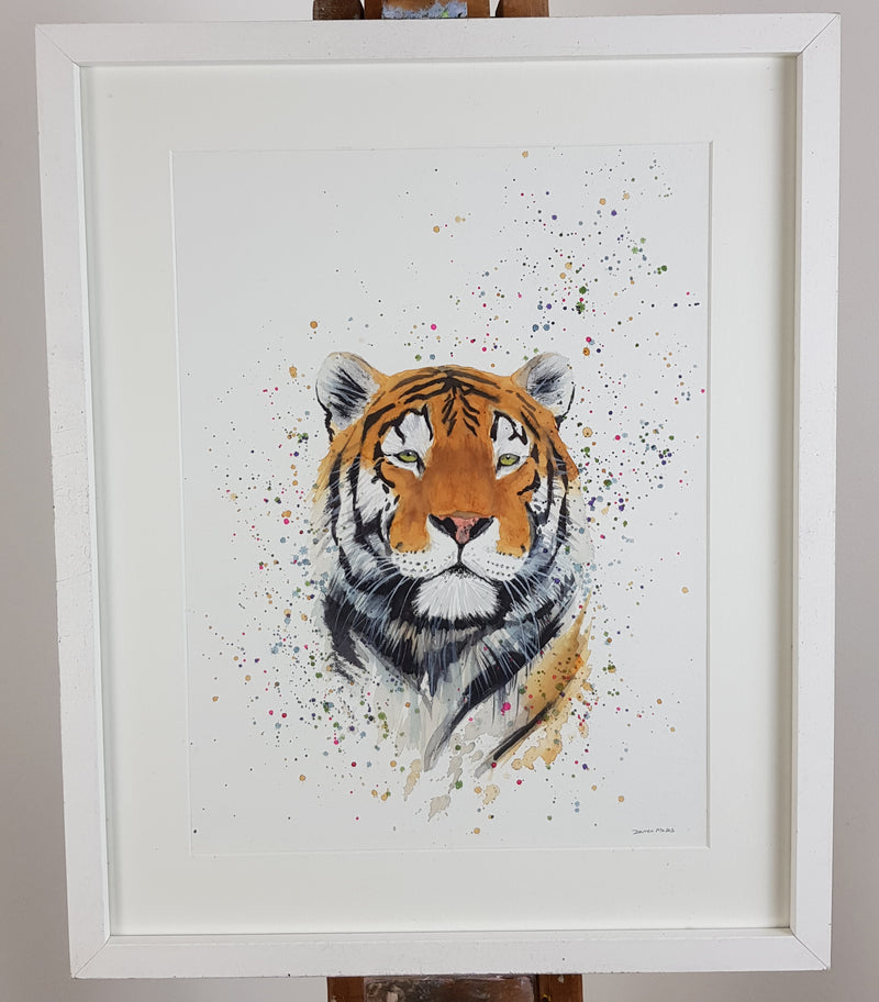 Tiger Watercolour Painting - 'Thomas' 17" x 12"