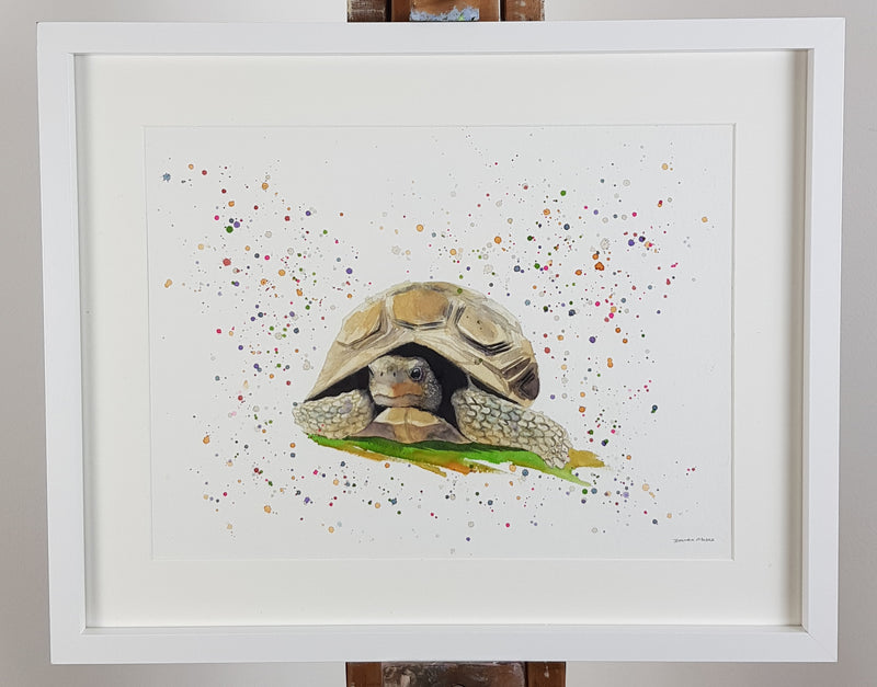 Tortoise Watercolour Painting - 'Tango' 17" x 12"