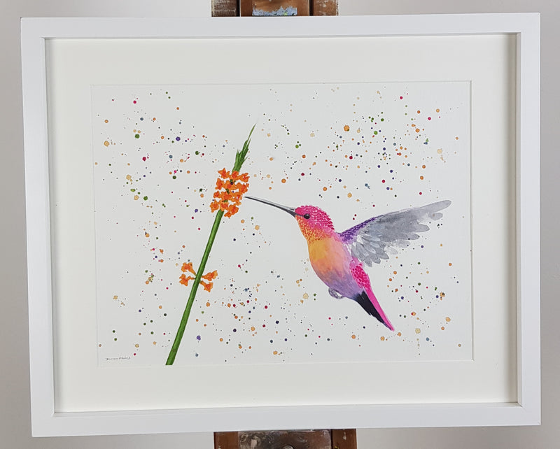 Hummingbird Watercolour Painting - 'Hero' 17" x 12"