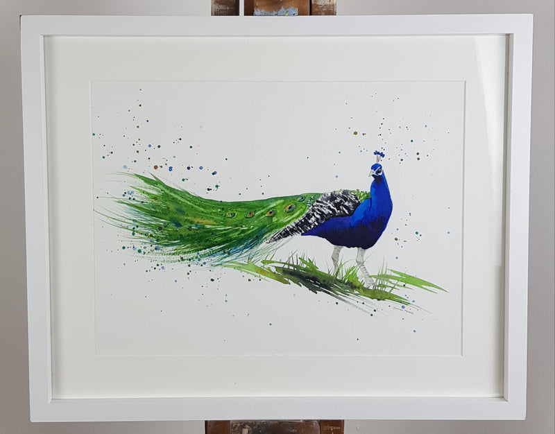 Peacock Watercolour Painting - 'Presley' 17" x 12"