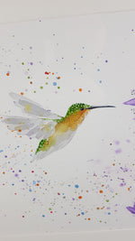 Hummingbird & Flower Watercolour Painting - 'Spring flight' 17" x 12"