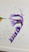 Hummingbird & Flower Watercolour Painting - 'Spring flight' 17" x 12"